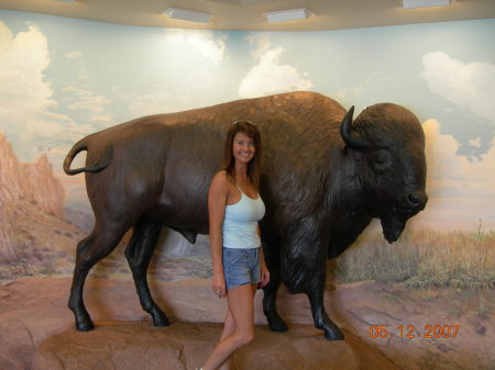 Big Buffalo