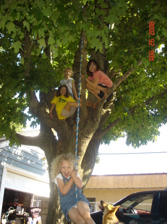 Kid in a tree