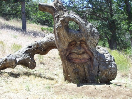 Our Oak Stump God