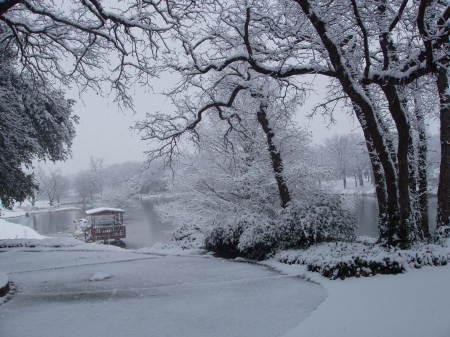 Winter Wonderland in my front yard