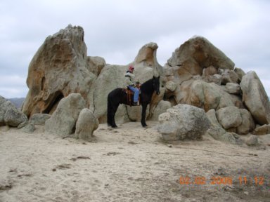 Trail ride 2008