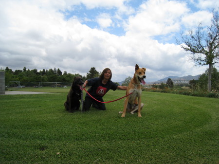 Mark, Shadow, and Buddy