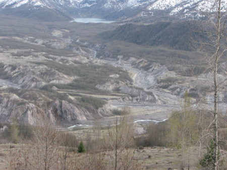 Evan Williams' album, Life with Lucille Carol &amp; Saved at Mt St Helens