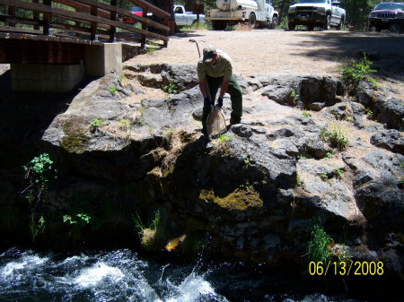 Fish and Game Stocking Hat Creek, Big Trout