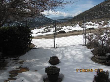 looking out our living room window