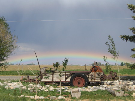 Idaho Rainbow