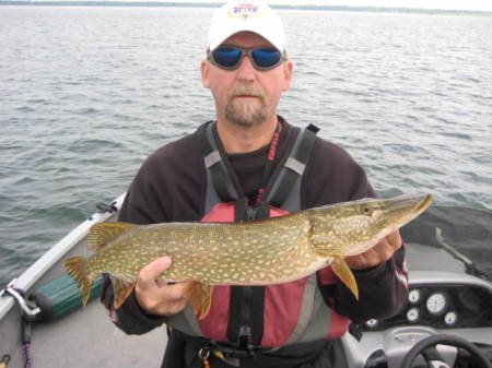 Northern Pike