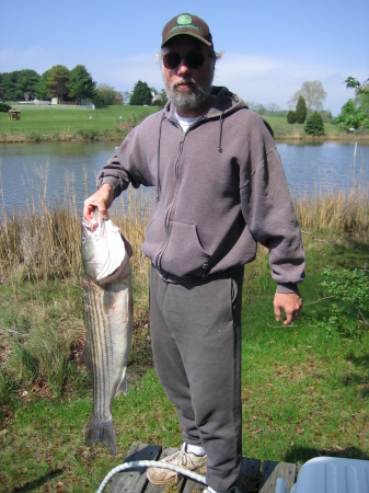 Chesapeake Fishing