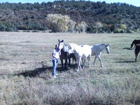 me and the horses