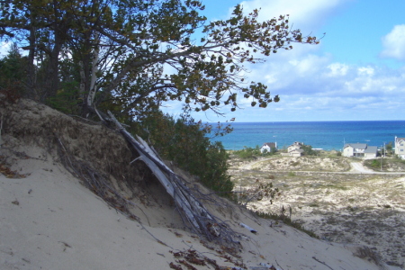 View from a Sand Dune