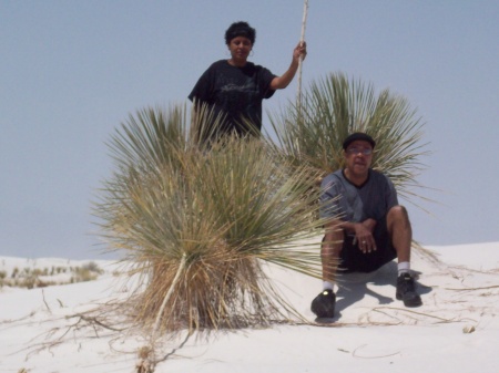 white sands missile range,n.m.