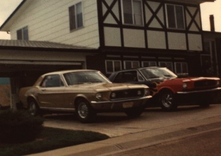 722 W 80th Ave Mustangs