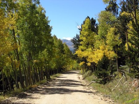 Colorado Fall Colors Along Cordova Pass