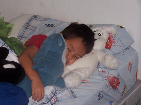 Sleeping with his stuffed animals