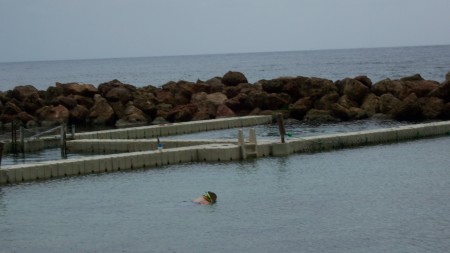 snorkeling jamaica