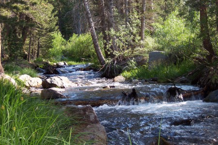 Eastern Sierra's My Favorite Place