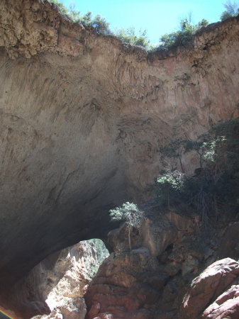 the bridge as seen from below