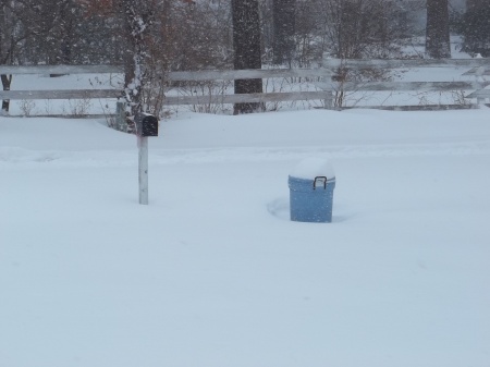 Front Yard During Snow 02/01/2011