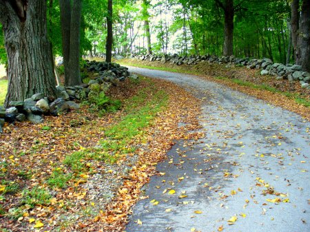 Single-lane road in Mass.