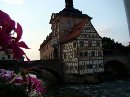 the best view of the old city hall