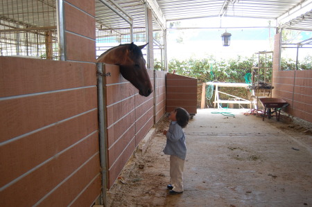 Christopher and Shakira "my horse"