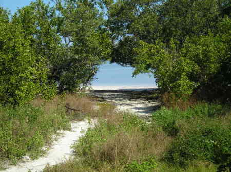 ON THE WAY TO SWIMMING HOLE  FL.KEYS