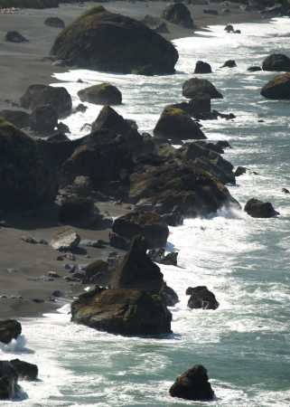 Oregon Coast 2010