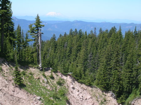 Alan MacDougall's album, Mt Hood, Cairn Basin Hike 7/10