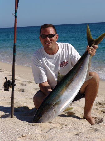 Yellowtail from the beach - Baja, Mexico