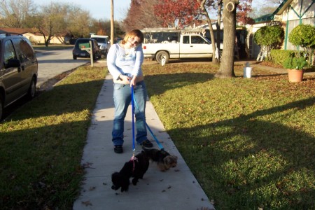 Walkin' the dogs!