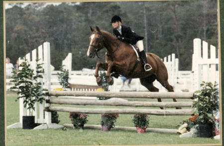 Pebble Beach Horse Show