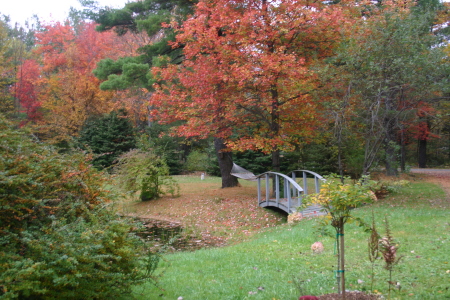 Our Yard in MA