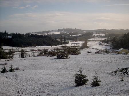 Winter 2008