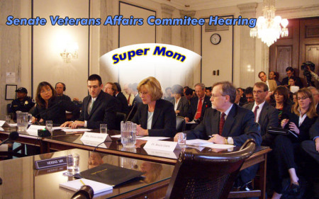 Senate hearing 3/07