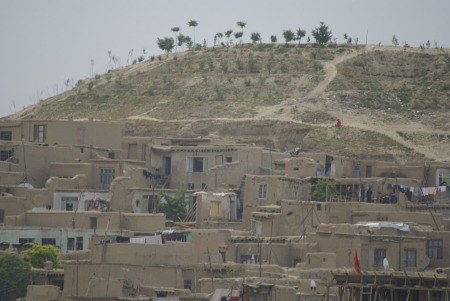 Houses on a hill