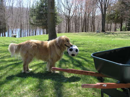 Doc Murdock, Soccer Dog.....