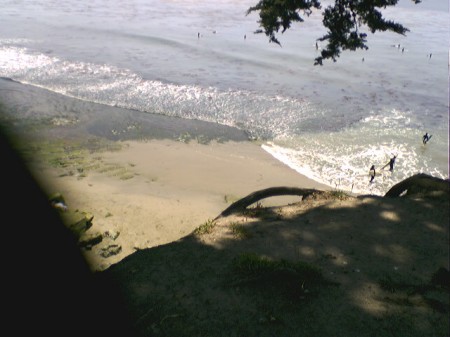 Steamer's Lane