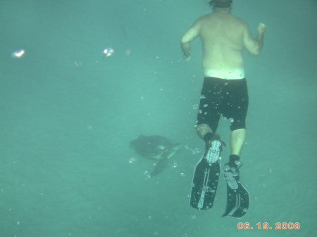 Free diving "Black Rock" Maui