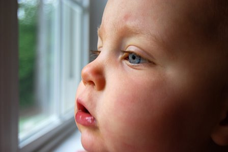 Max at the window