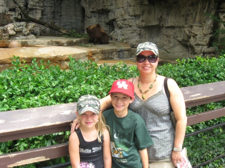 St. Louis Zoo, 2008