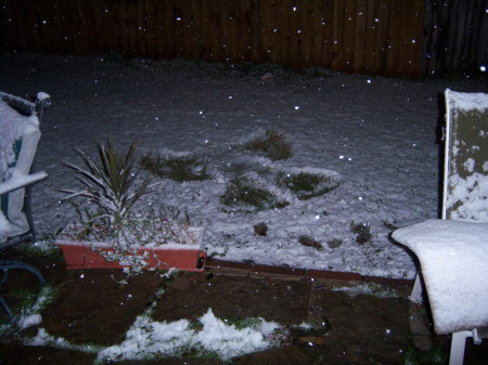 snow in houston 2008