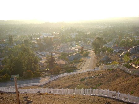 View from Crest