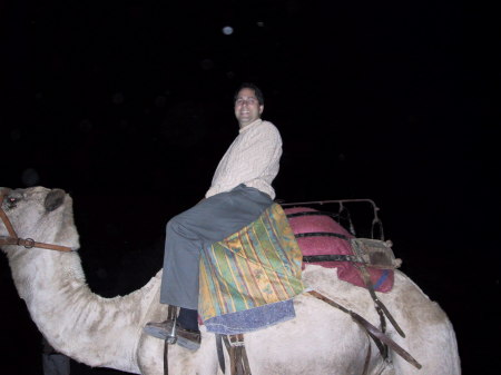 on the camel in Namibia