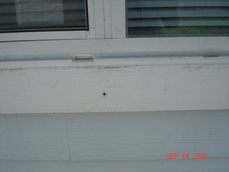 Nail holes from my window boards