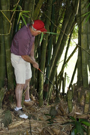 Jim Ratliff's album, Puerto Rico