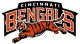 Bengals Vs Colts & Pittsburgh Game Packages reunion event on Nov 14, 2010 image