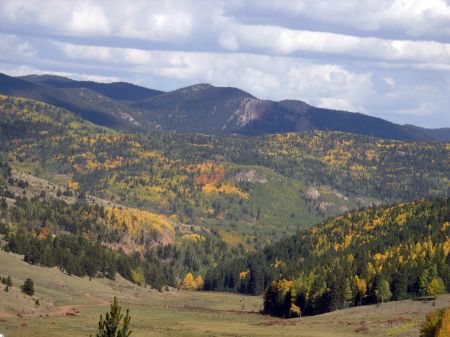 Colorado Fall Colors Near Cripple Creek