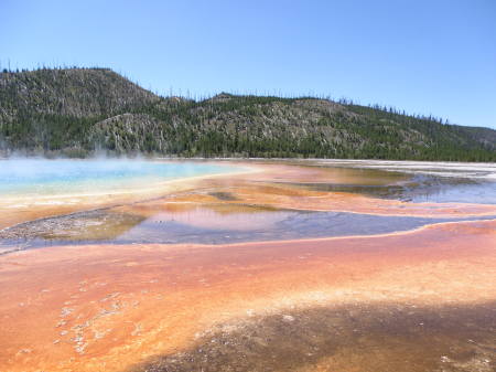 Hot Springs - Yellowstone