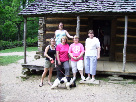 Cabin in the Smokies on Cade's Cove drive