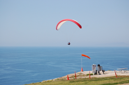 Soaring over Torrey Pines